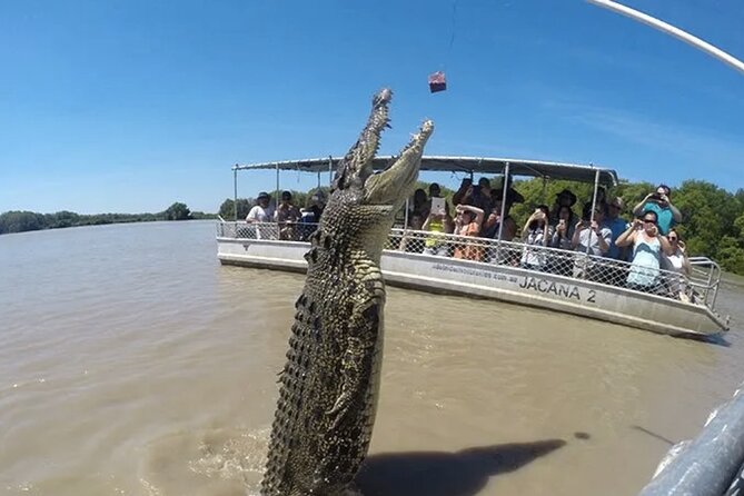 The Croc Bus to the Famous Jumping Crocodile Cruise - The Croc Bus makes the remote river easy