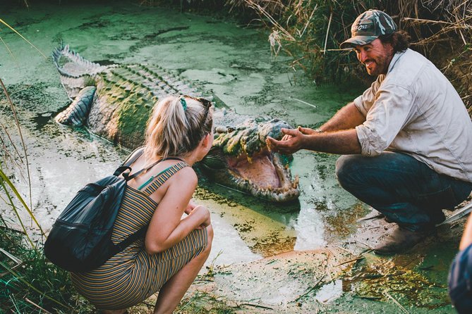 Top End Safari Camp Day Tour - Meeting the rescued crocodiles