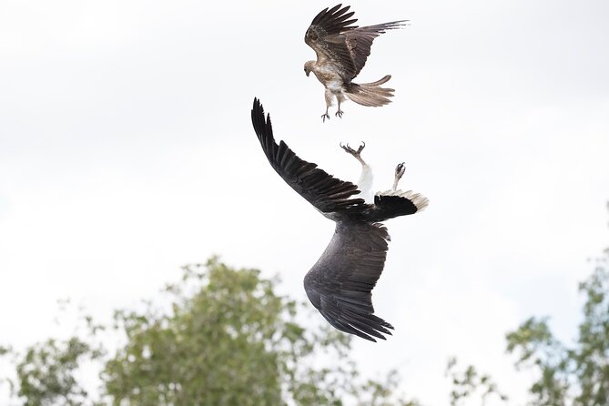 Top End Safari Camp Day Tour - The 10-minute helicopter flight