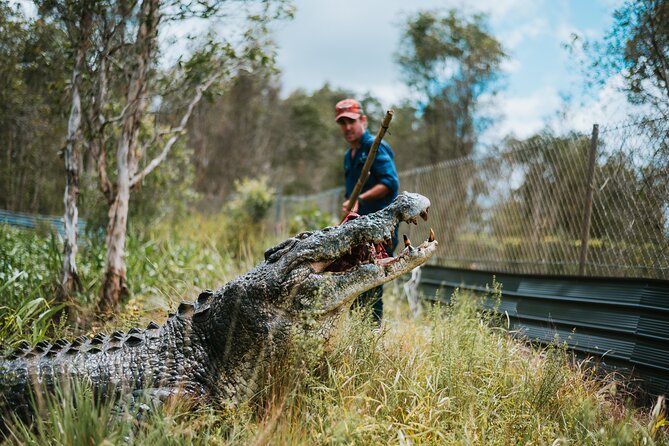 Top End Safari Camp Day Tour - How much value do you get for $426.76?