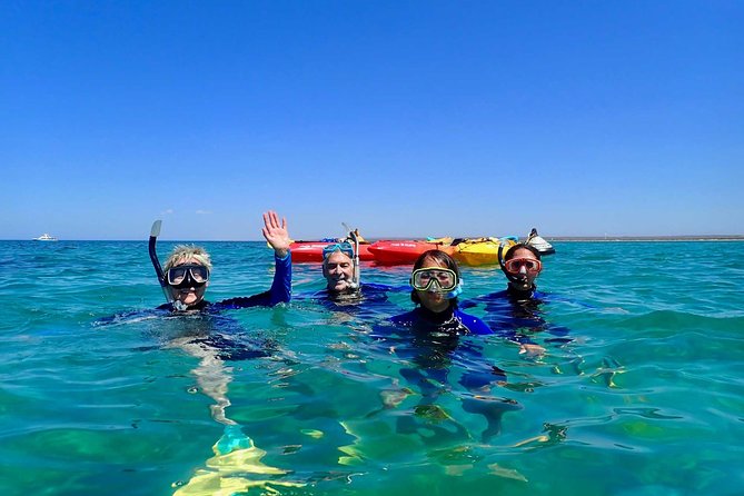 Turtle Tour - Ningaloo Reef Half Day Sea Kayak and Snorkel Tour - A short paddle into Ningaloo’s Bundegi Sanctuary Zone