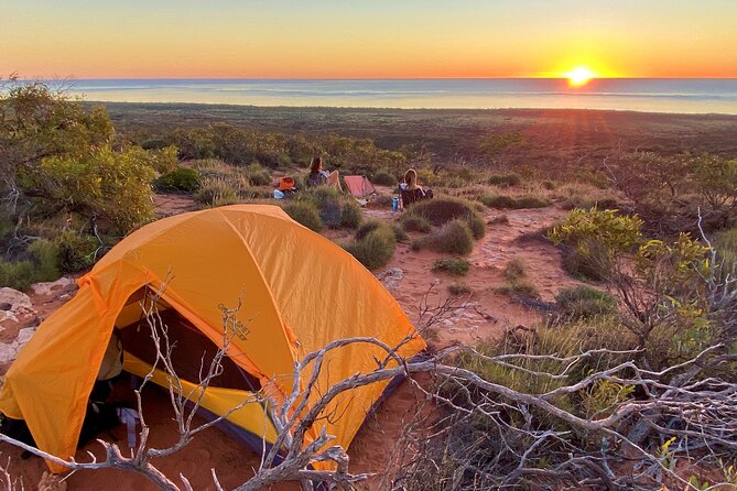 Turtle Tour - Ningaloo Reef Half Day Sea Kayak and Snorkel Tour - What the $107.59 price really covers