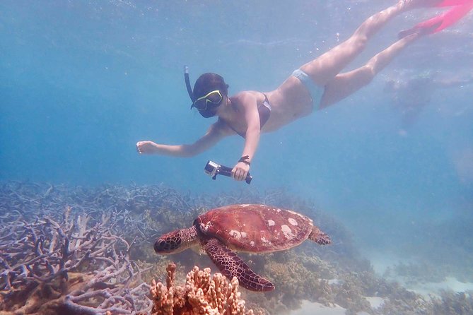 Turtle Tour - Ningaloo Reef Half Day Sea Kayak and Snorkel Tour - Who should book this Ningaloo half-day tour