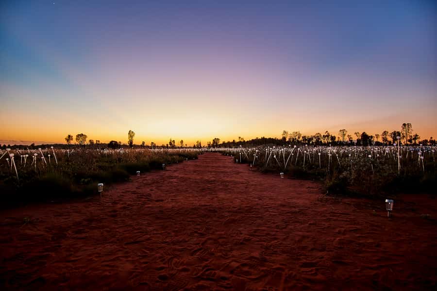 Uluru: Field of Light Sunrise Tour with Hot Drinks - Who should book this sunrise tour?