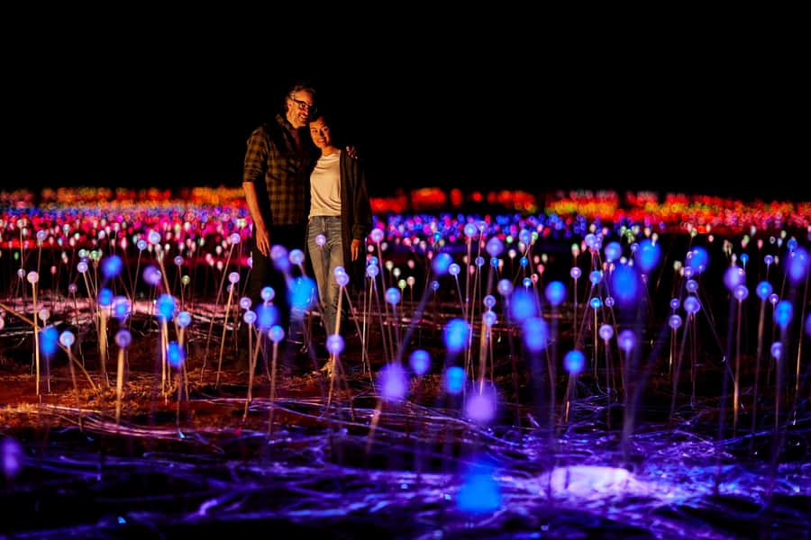 Uluru: Field of Light Sunrise Tour with Hot Drinks - Why the Field of Light works best before sunrise