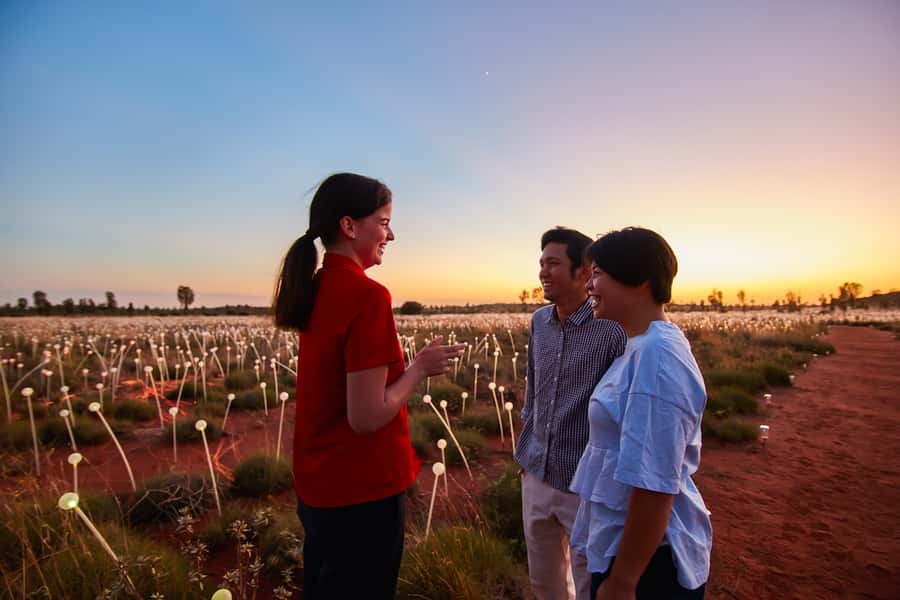 Uluru: Field of Light Sunrise Tour with Hot Drinks - Walking through 50,000 glowing globes