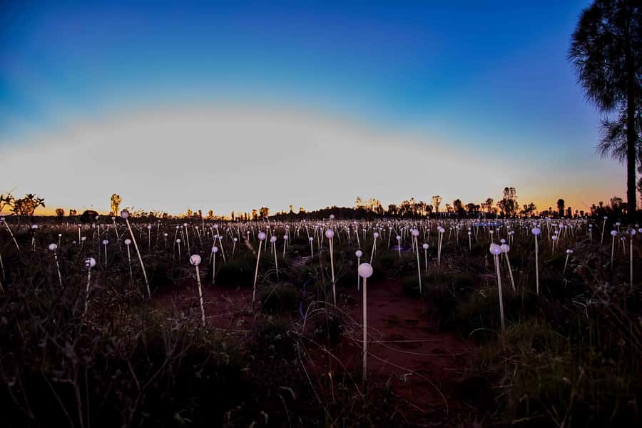 Uluru: Field of Light Sunrise Tour with Hot Drinks - Dune Top and the sunrise over Uluru