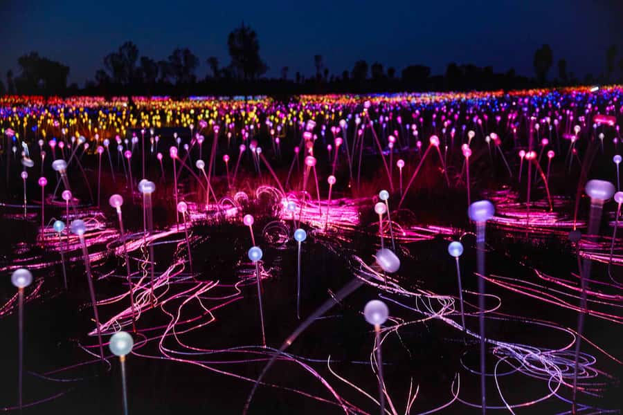 Uluru: Field of Light Sunrise Tour with Hot Drinks - What $91 buys you