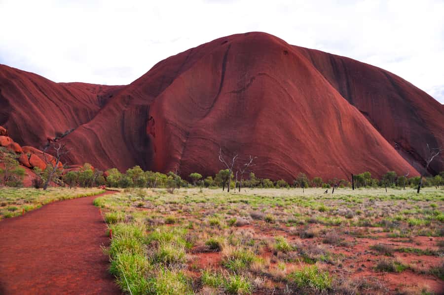 Uluru: Sacred Sites & Sunset Tour with Wine & Cheeseboard - Why this Uluru tour works well in one afternoon