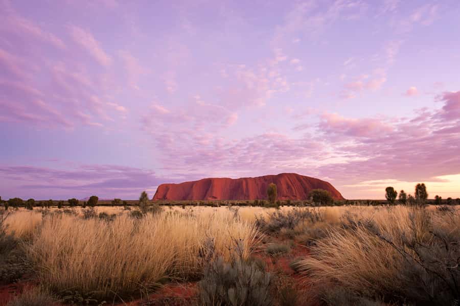 Uluru: Sacred Sites & Sunset Tour with Wine & Cheeseboard - Is $140 a fair price?