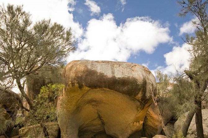 Wave Rock, York and Aboriginal Cultural Day Tour from Perth - Leaving Perth for York and the Avon Valley