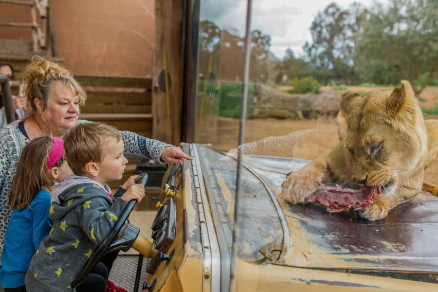 Werribee Open Range Zoo: Entry Ticket - Why the free safari is the main event