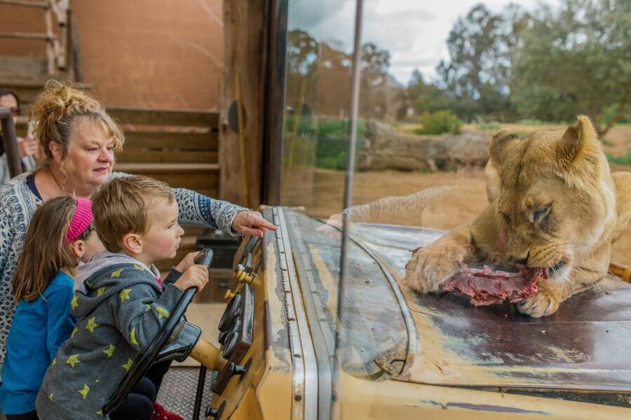 Werribee Open Range Zoo: Entry Ticket - What the $37 ticket is really worth