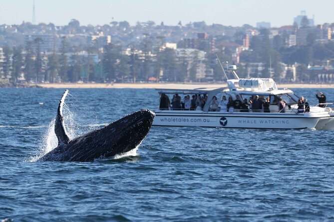 Whale Watching Boat Trip in Sydney - Leaving Darling Harbour for the open Pacific