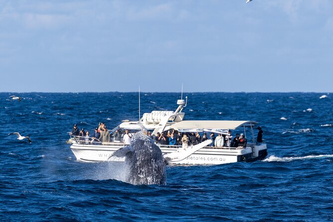 Whale Watching Boat Trip in Sydney - Who will enjoy this cruise most