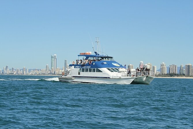 Whale Watching Tour with Spirit of Gold Coast - Seasickness, wind, and weather cancellations