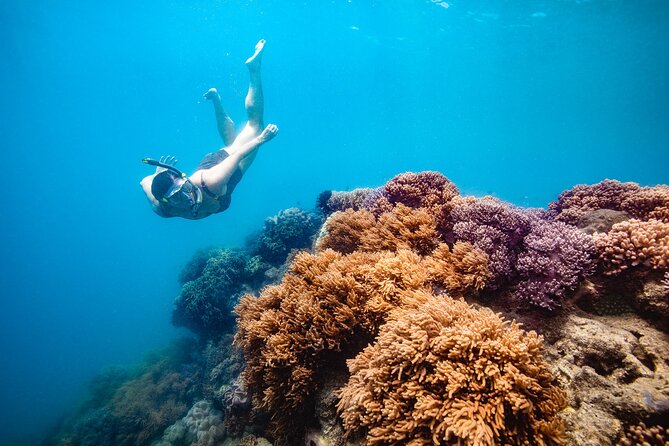Whitehaven Beach and Hill Inlet Lookout Snorkeling Cruise - Key things to know before you book