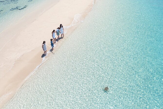 Whitehaven Beach and Hill Inlet Lookout Snorkeling Cruise - Lunch and snacks make the $164.97 fare more reasonable