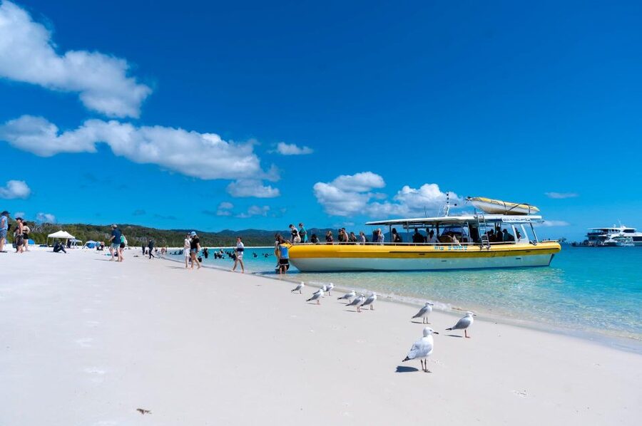Whitsunday: Whitsunday Islands Tour with Snorkeling & Lunch - Whitehaven Beach, with lunch on the sand