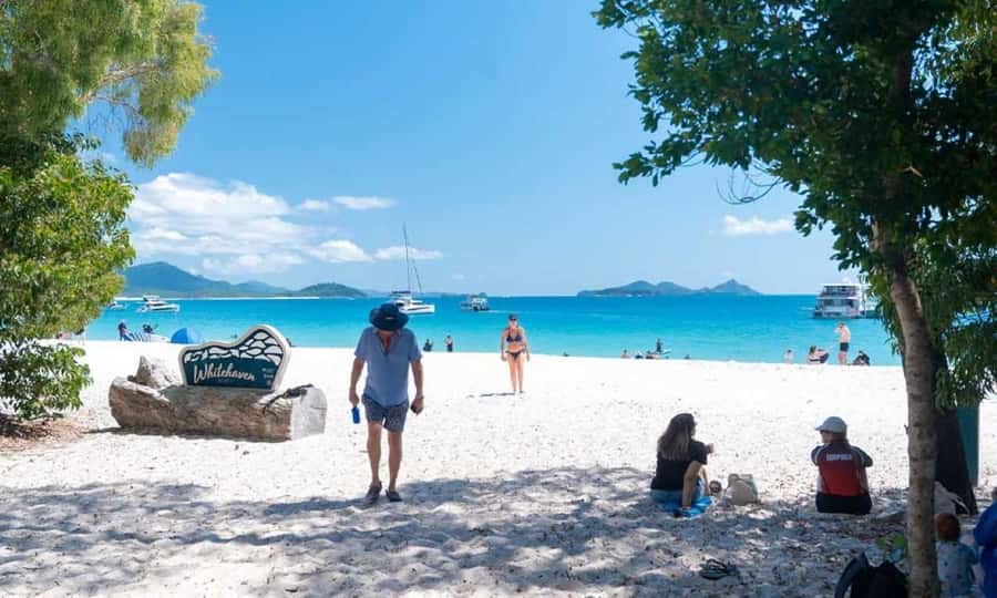 Whitsunday: Whitsunday Islands Tour with Snorkeling & Lunch - Whale watching from July to September