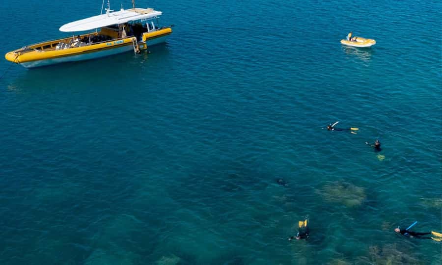 Whitsunday: Whitsunday Islands Tour with Snorkeling & Lunch - What the $162 price really covers