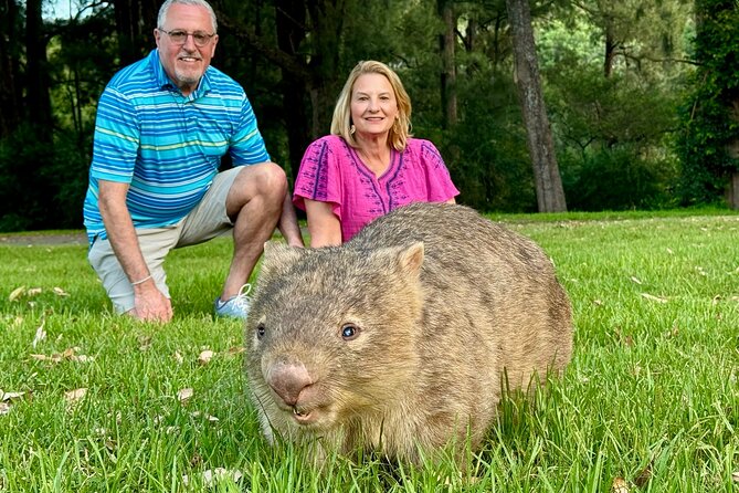WILD Wombat and Kangaroo Day Tour, All Inclusive - Key points to know before booking