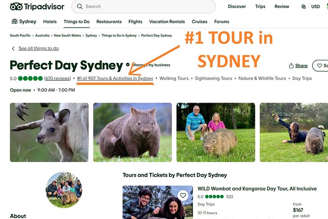 WILD Wombat and Kangaroo Day Tour, All Inclusive - Sublime Point Lookout starts the day with a big view