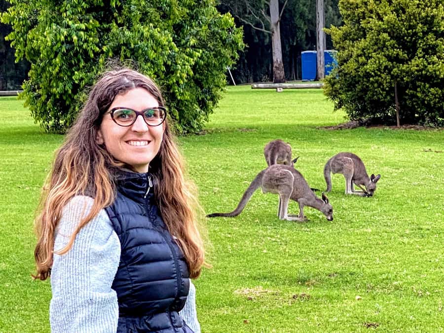 WILD Wombats and Kangaroo Experience, All Inclusive, Sydney - Key points at a glance