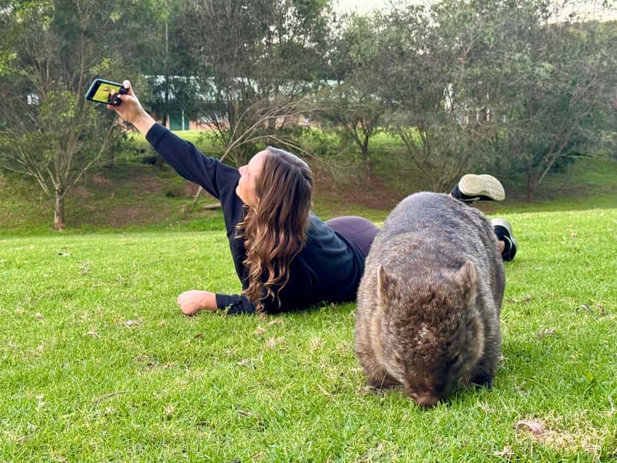 WILD Wombats and Kangaroo Experience, All Inclusive, Sydney - Why the wombats are worth a full day from Sydney