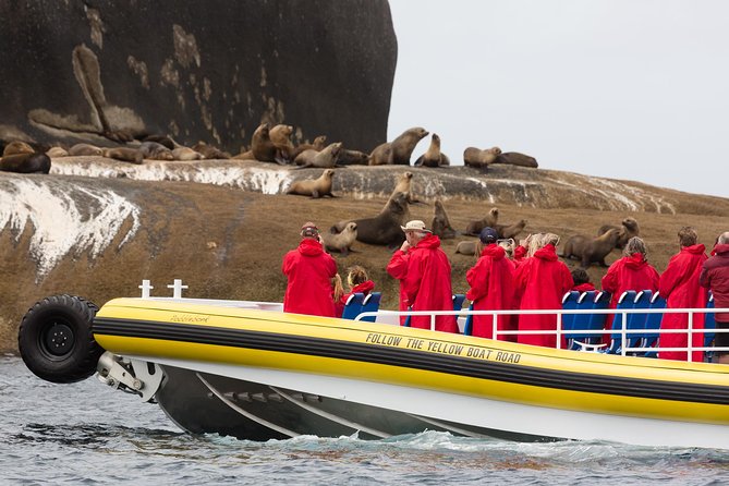Wilsons Promontory Wilderness Cruise from Tidal River - Guides who make the two and a half hours pass quickly