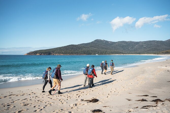 Wineglass Bay Cruise from Coles Bay - Choosing the optional lunch
