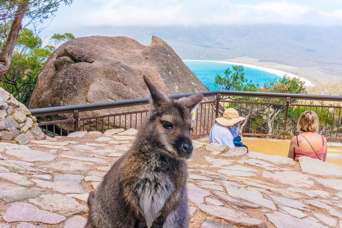 Wineglass Bay & Freycinet NP Full Day Tour from Hobart via Richmond Village - Raspins Beach adds a quiet East Coast pause