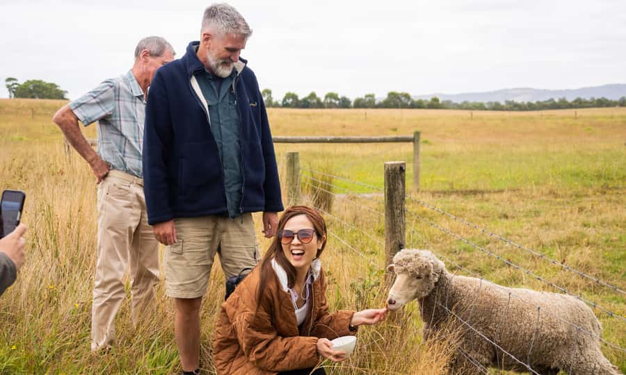 Yarra Valley Full Day Grazing Tour: Gin, Wine, Pizza, Cheese - Comfort, timing, and practical limits