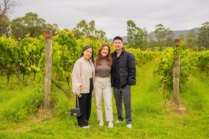 Yarra Valley Grazing Tour Wine, Cheese, Gin, Pizza from Melbourne - Chocolate brings the day to a sweet finish