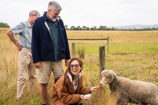 Yarra Valley Grazing Tour Wine, Cheese, Gin, Pizza from Melbourne - The guide can shape the whole day