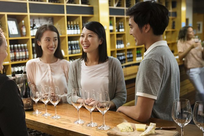 Yarra Valley Wine Day Tour - The experience suits wine beginners and serious tasters