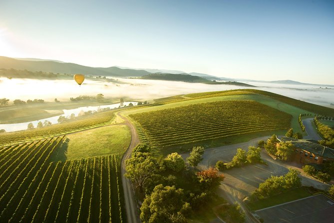 Yarra Valley Wine Day Tour - The 8:30 am start and small van
