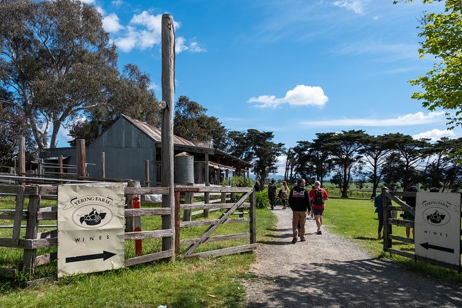 Yarra Valley Wine & Winery Tour from Melbourne - All Inclusive! - Greenstone Vineyards begins with wide valley views