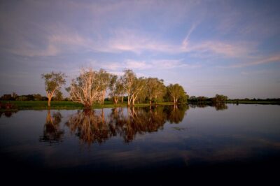 Yellow Water Cruise – Kakadu