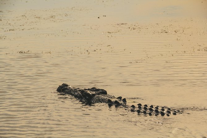 Yellow Water Cruise - Kakadu - Why the cruise offers good value at $75.31