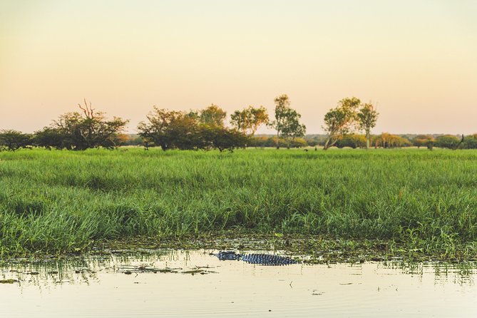 Yellow Water Cruise - Kakadu - Practical details before you book